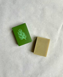 Rosemary & Cedar Soap - new!